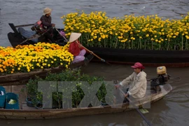 芹苴市旅游业将集中开发特色旅游产品