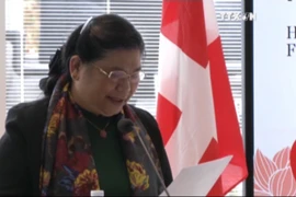 越南国会副主席丛氏放出席越南-丹麦经济合作论坛