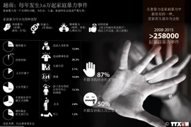 越南：每年发生3.6万起家庭暴力事件。