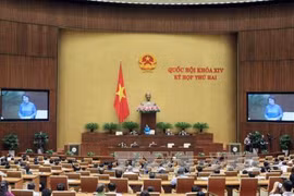 越南国会11月17日在会堂举行了全体会议。（图片来源：越通社）