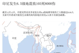 印尼发生6.5级地震致103死8000伤 