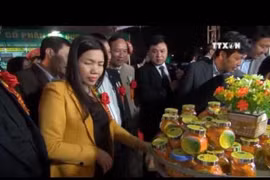 2016年北中部地区国际贸易展览会在清化省举行