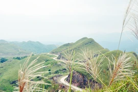 平辽县西边边境巡逻线路。（图片来源：广宁报）