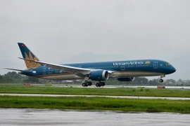 附图。（图片来源：Vietnam Airlines）