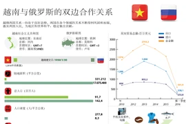 越南与俄罗斯的双边合作关系。 