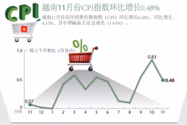 越南11月份CPI指数环比增长0.48%