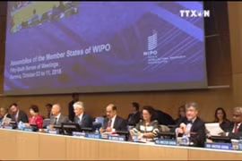 越南出席世界知识产权组织成员国大会第五十六届会议