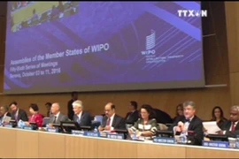 越南出席世界知识产权组织成员国大会第五十六届会议