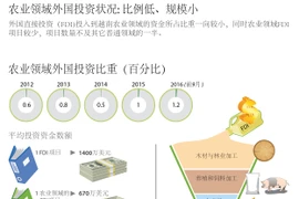 农业领域外国投资状况: 比例低、规模小