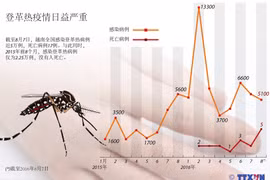 登革热疫情日益严重