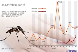 登革热疫情日益严重