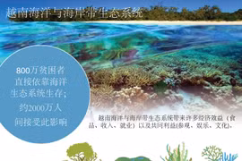 越南海洋与海岸带生态系统