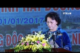 越南国家主席阮氏金银出席海阳省重建20周年庆典