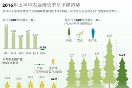 2016年上半年农业增长率呈下降趋势