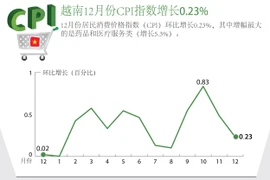 越南12月份CPI指数增长0.23%