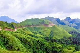 漫长的道路，草原似的绿草。（图片来源：广宁报）