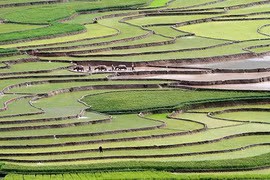 （图片来源：越南《人民报网》）