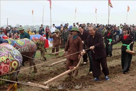越南政府常务副总理张和平出席碗山籍田节（组图）