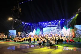 2019年奠边省羊蹄甲花节精彩开幕(组图)