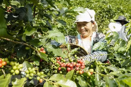 泰国曼谷邮报：越南是世界经济的亮点