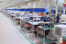 218500家企业加入市场