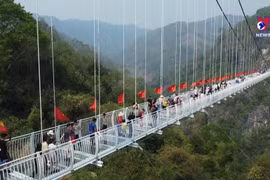 西北扩大地区的胡志明市游客到访量逐年增加