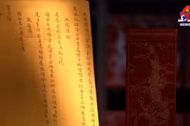 阮朝外交3D展览陈列数百份文献资料