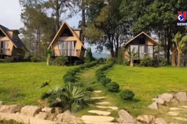 木州：西北地区旅游的绿色明珠