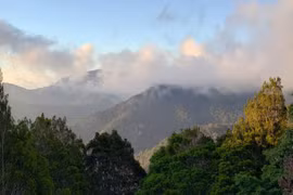越南11个世界生物圈保护区