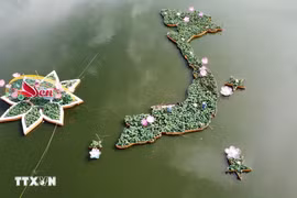用5000个荷花盆拼出荷花版“越南地图”