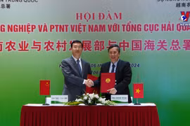 越南与中国促进农林渔业贸易合作
