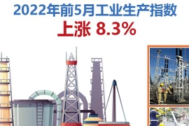 图表新闻：2022年前5月工业生产指数上涨8.3%