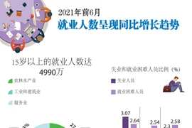 图表新闻：2021年前6月就业人数呈现同比增长趋势