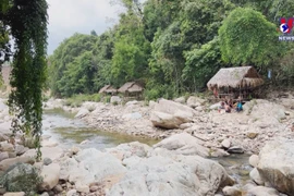 广治省向化县着力开发社区旅游潜力