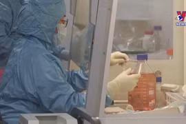 越南自主研发疫苗展望将逐步明朗