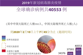 图表新闻：全球新冠病毒肺炎确诊病例共40553 例