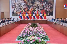 王廷惠主席与老挝国会主席赛宋蓬•丰威汉举行会谈