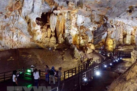 广平省多措并举推动旅游业加快复苏