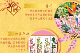 图表新闻：越南传统春节之雅趣