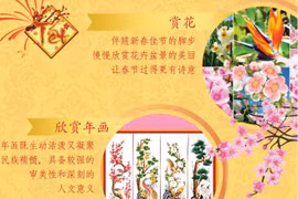 图表新闻：越南传统春节之雅趣