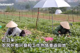 绿区复工复产 确保首都居民粮食供应充足