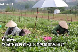 绿区复工复产 确保首都居民粮食供应充足