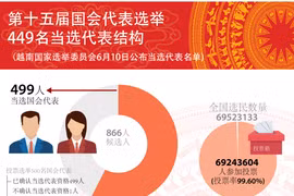 图表新闻：第十五届国会代表选举结果出炉 449名当选国会代表