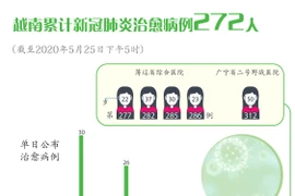 图表新闻：越南累计新冠肺炎治愈病例272人 