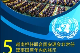 图表新闻：越南担任联合国安理会非常任理事国两年内的5大烙印