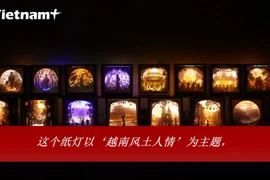 90后青年利用3D艺术纸灯展现越南风土人情