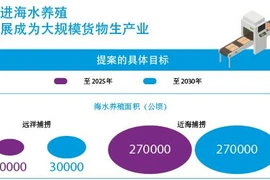 图表新闻：促进海水养殖发展成为大规模货物生产业