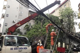 抓紧修复电力受损基础设施。图自越通社