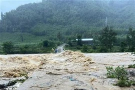平定省多地遭洪涝灾害。图自越通社