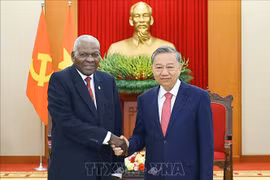 越共中央总书记苏林与古巴全国人民政权代表大会主席埃斯特万。图自越通社